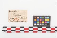 Etiketten zu Bronzegehänge (NHMW-PRAE-024060)